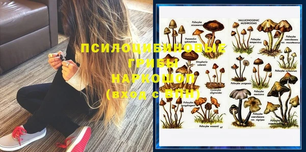 2c-b Ладушкин