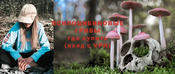 2c-b Ладушкин