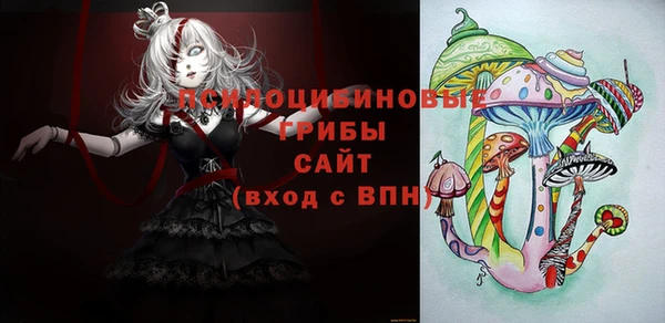 гидра Лабытнанги