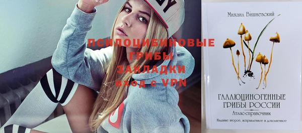 дурь Лагань