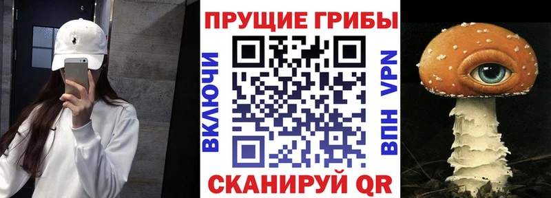 Галлюциногенные грибы GOLDEN TEACHER  Купить где  Нефтеюганск 