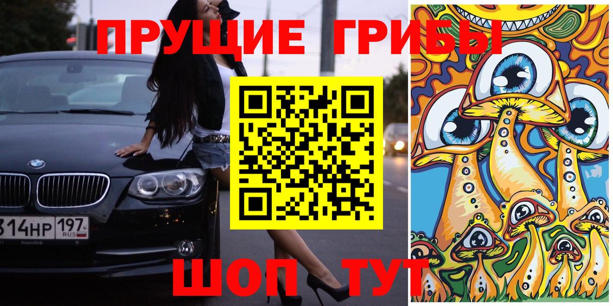 Псилоцибиновые грибы Psilocybine cubensis  Нефтеюганск 