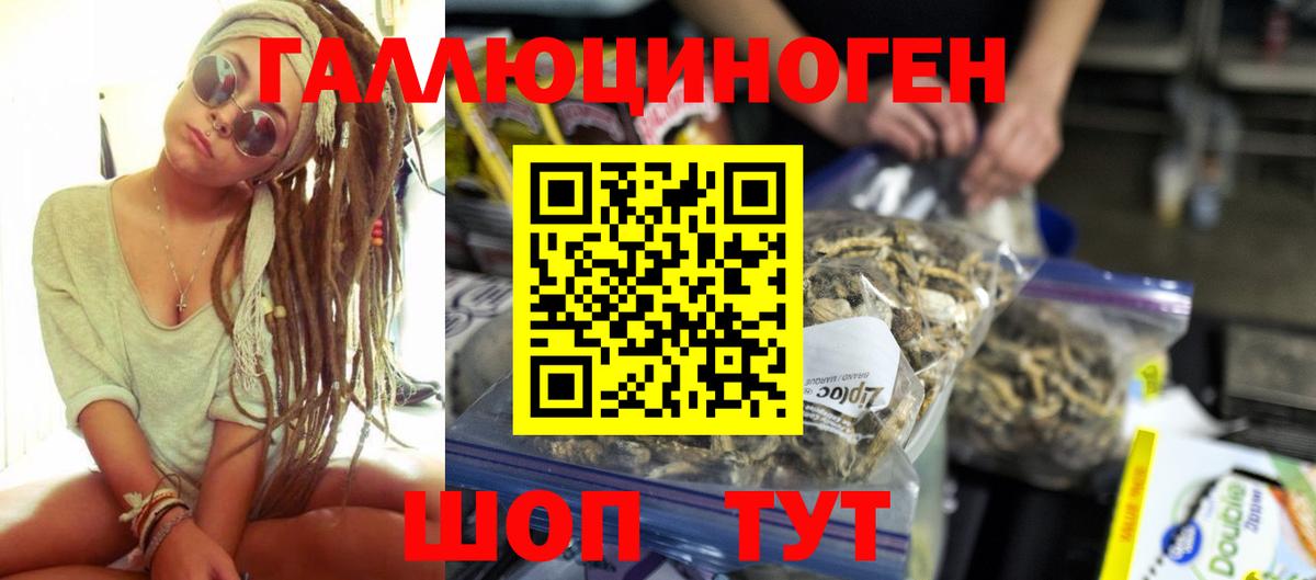 Псилоцибиновые грибы GOLDEN TEACHER Нефтеюганск